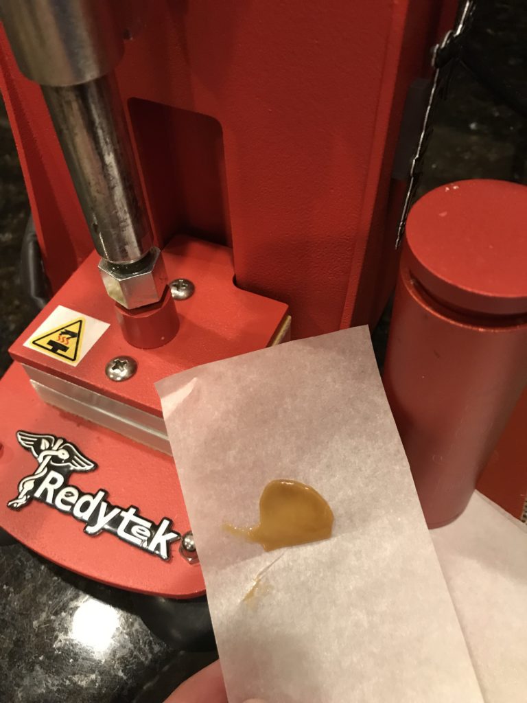 Turning Valley Dispensary flower into gold solventless concentrate using Rosin technique and Redytek rosin press Washington