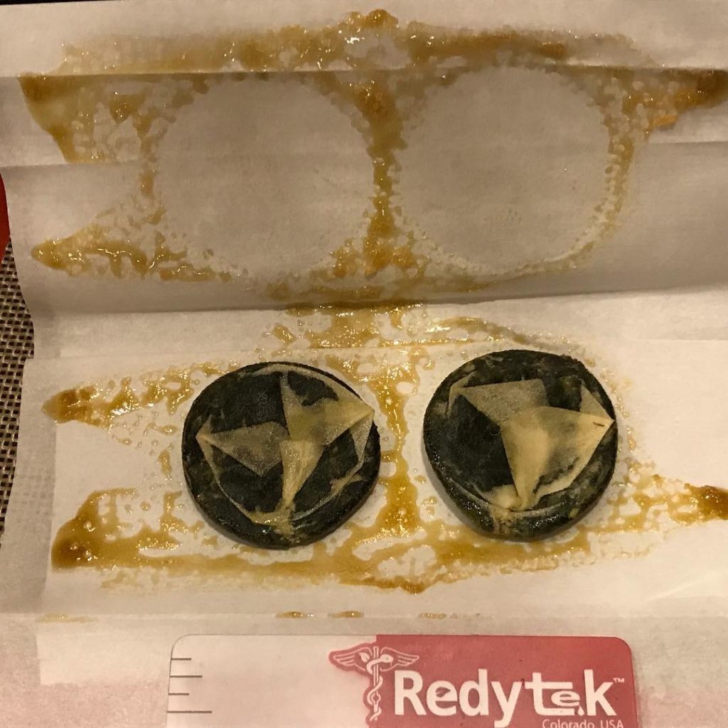 Turning Bardonia Dispensary flower into gold solventless concentrate using Rosin technique and Redytek rosin press New York
